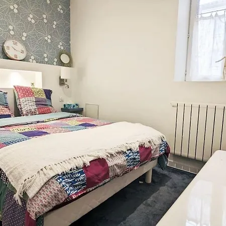 Cosy Olympe - 1ch - Hyper Centre Quartier Des Halles Apartment Pau