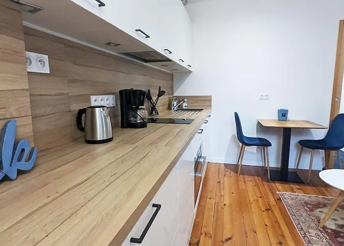 Cosy Olympe - T2 - Quartier Des Halles Apartment Pau