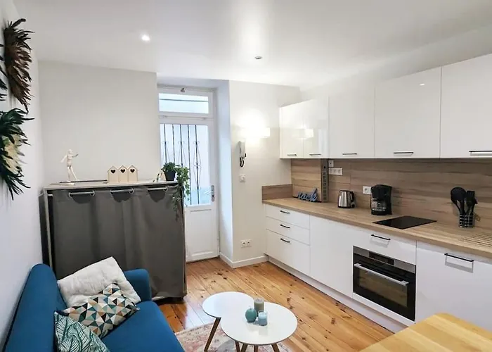 Cosy Olympe - T2 - Quartier Des Halles Pau