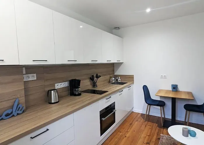 Lejlighed Cosy Olympe - T2 - Quartier Des Halles Pau